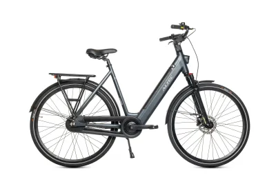 Altec Flow E-bike one speed 55cm Ash Gray