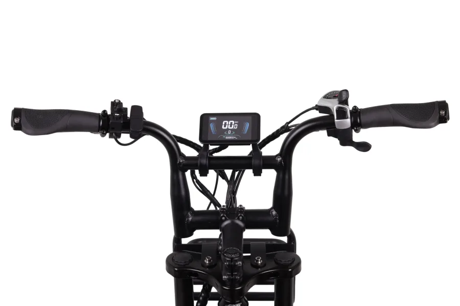 Altec Arion E-Bike Fatbike 20inch 624Wh Black *Battery 800089 — foto 2