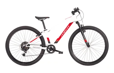 MBM Jongens Mountainbike 26 Inch District 7V Wit Rood