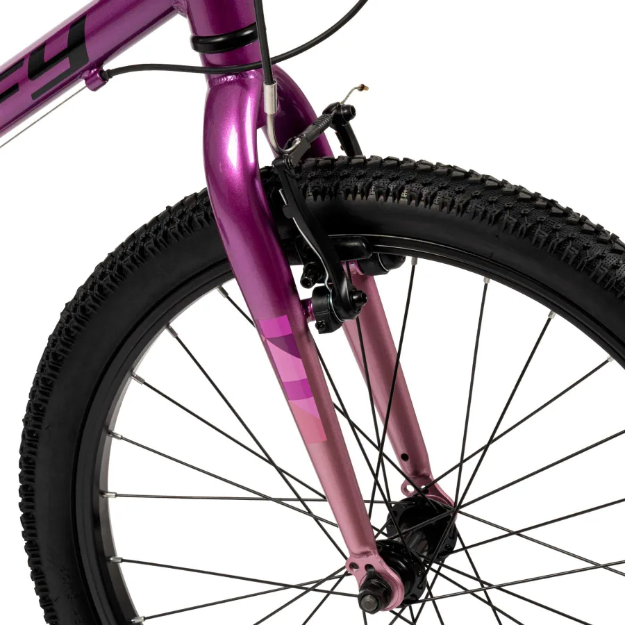 Literide Kinderfiets – Meisjes – 20 inch – Paars/Roze – Twee handremmen — foto 11