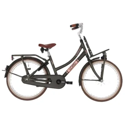 Bikefun Load 20″ meisjesfiets remnaaf mat green 2026
