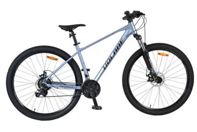 Volare X-Trail MTB - Jongens - 29 inch - M - Grijs - 21 versnellingen
