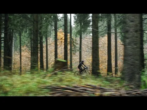 Aandrijfriem Gates CDN Carbon Drive 115T zwart — foto 8