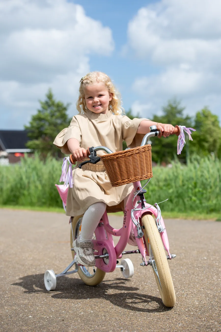 Volare Blossom Kinderfiets – Meisjes – 12 inch – Roze – Twee handremmen — foto 12