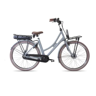 Avalon E-Cargo N7 56cm Mat grijs 12AH