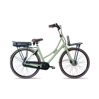 Avalon E-Cargo N7 56cm Slate green Disc 12AH