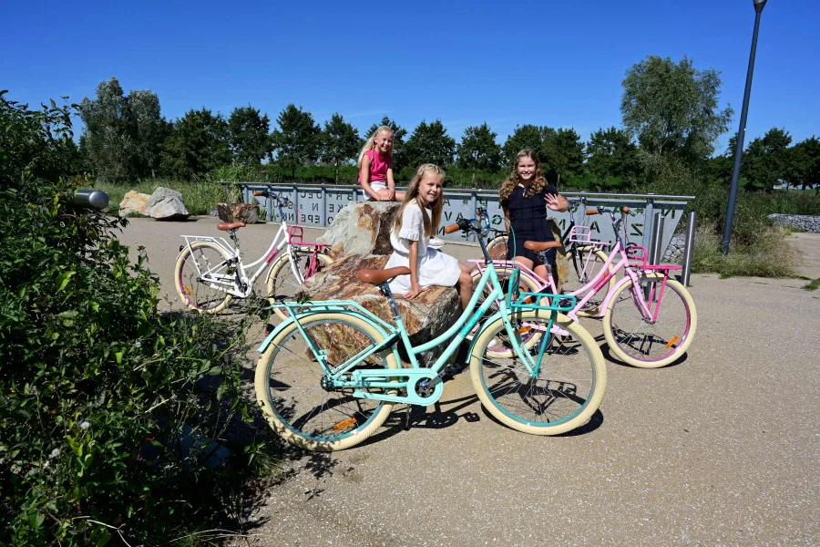 Volare Excellent Kinderfiets – Meisjes – 26 inch – Groen — foto 15