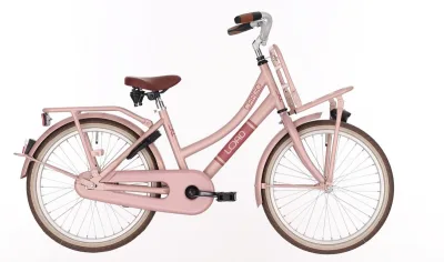 Kinderfiets BIKEFUN KIDS Load RN 20 inch - remnaaf - mat/mahogany roze
