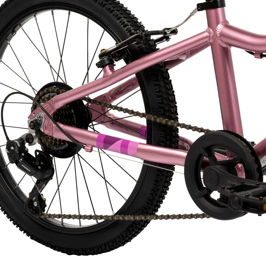 Literide Kinderfiets – Meisjes – 20 inch – Paars/Roze – Twee handremmen — foto 7
