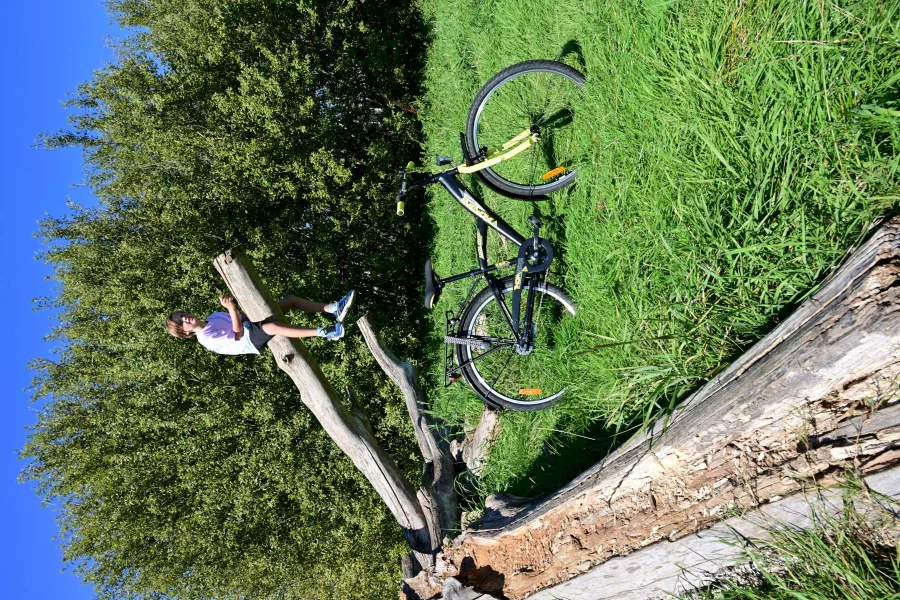 Volare Thombike Kinderfiets – Jongens – 24 inch – Groen Zwart – 3 versnellingen — foto 18