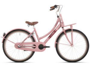 Kinderfiets 20″ BikeFun Load – mahogany roze