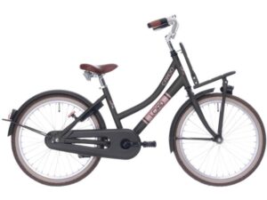 Kinderfiets 20″ Bike Fun Load mat groen