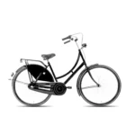 Avalon Omafiets 50cm Nexus 3 remnaaf zwart