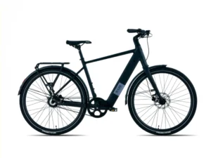 Avalon E-lite E-Bike Mat zwart Gates Belt snaar 54cm Heren