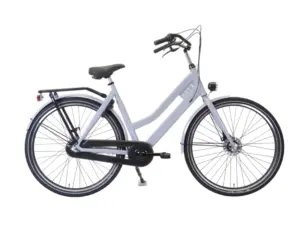 Avalon Style Dames 54cm Shimano Rollerbrake 3 speed grijs