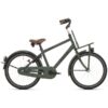 Kinderfiets Bikefun Load 20″ jongensfiets met remnaaf mat groen