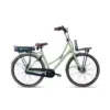 Avalon E-Cargo N7 56cm Slate green Disc 12AH