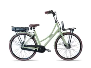Avalon E-Cargo N7 50cm Slate green Disc 12AH